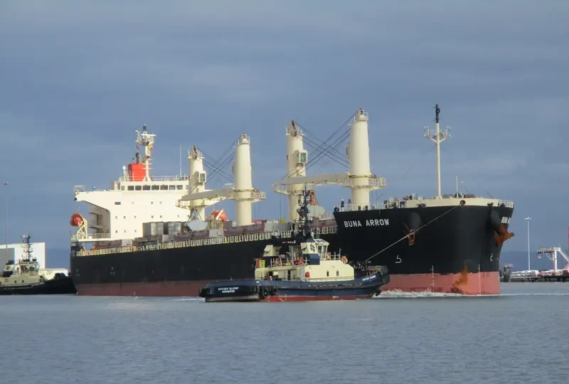 BUNA ARROW Bulk Carrier IMO 9687071 photo 9