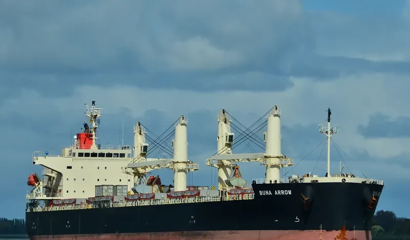 BUNA ARROW Bulk Carrier IMO 9687071 photo 10