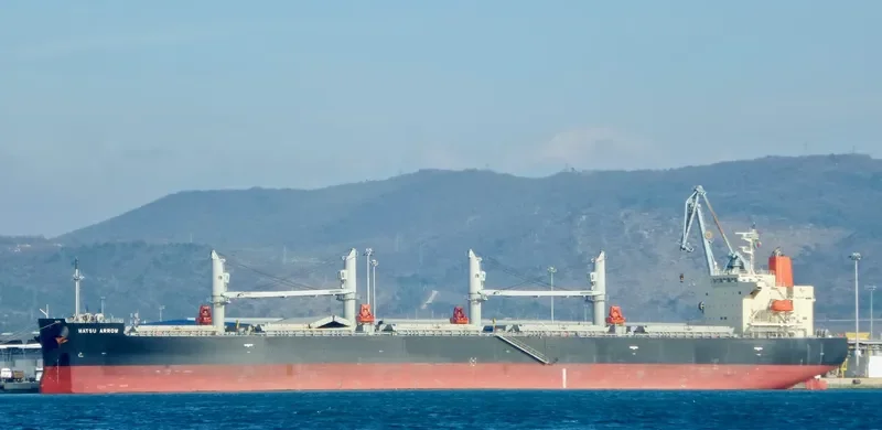 MATSU ARROW Bulk Carrier IMO 9687083 photo 2