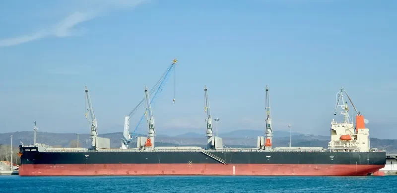 MATSU ARROW Bulk Carrier IMO 9687083 photo 3