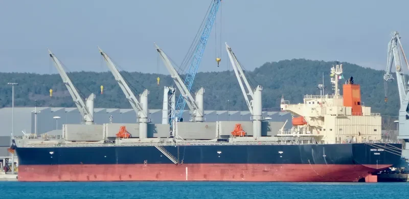 MATSU ARROW Bulk Carrier IMO 9687083 photo 4
