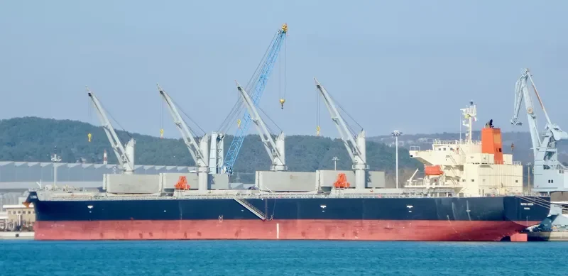 MATSU ARROW Bulk Carrier IMO 9687083 photo 5