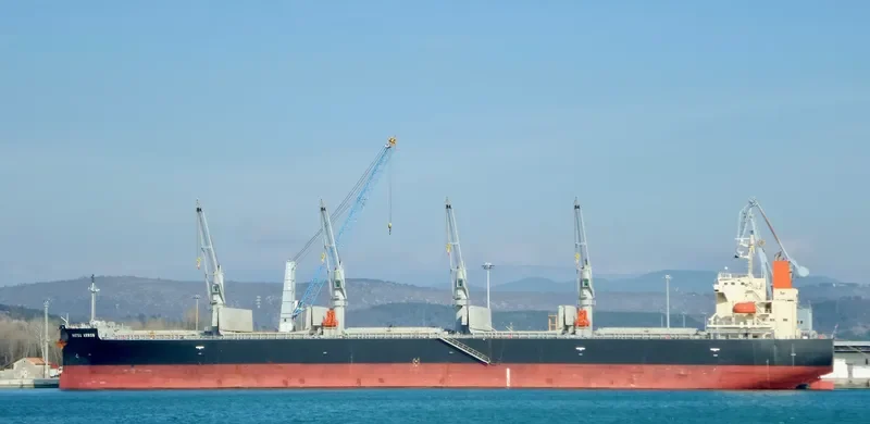 MATSU ARROW Bulk Carrier IMO 9687083 photo 6