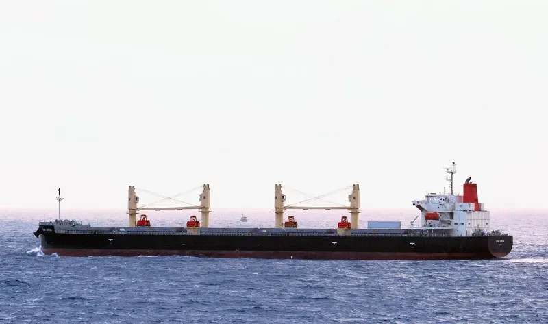 BIWA ARROW Bulk Carrier IMO 9687095