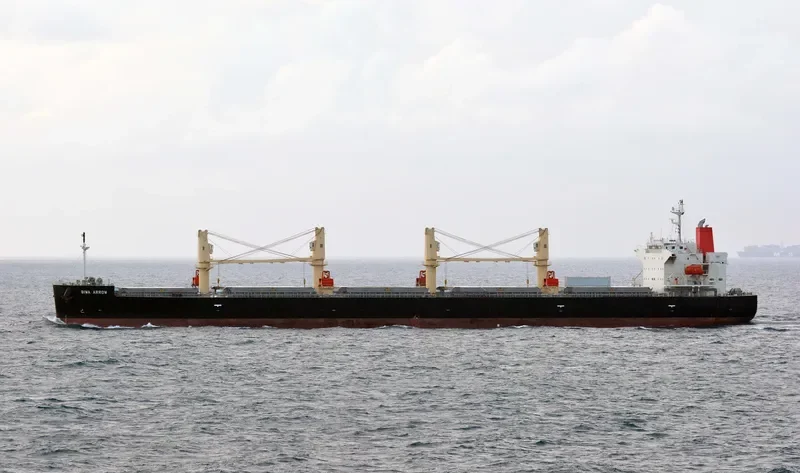 BIWA ARROW Bulk Carrier IMO 9687095 photo 2