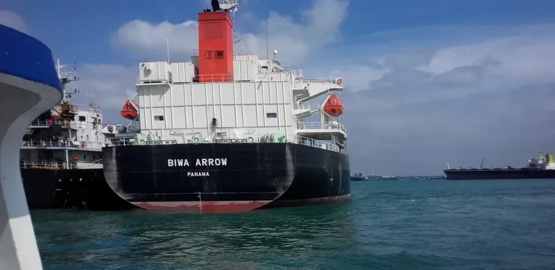 BIWA ARROW Bulk Carrier IMO 9687095 photo 3