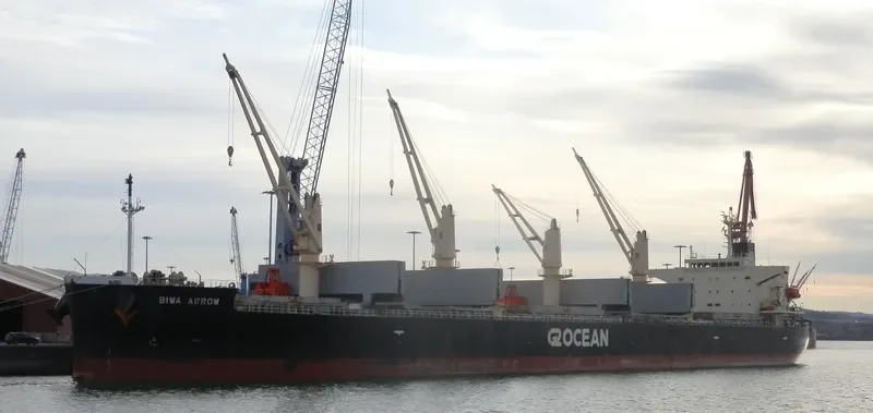 BIWA ARROW Bulk Carrier IMO 9687095 photo 4