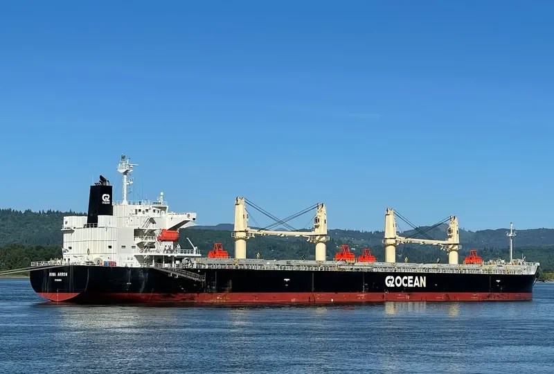 BIWA ARROW Bulk Carrier IMO 9687095 photo 5