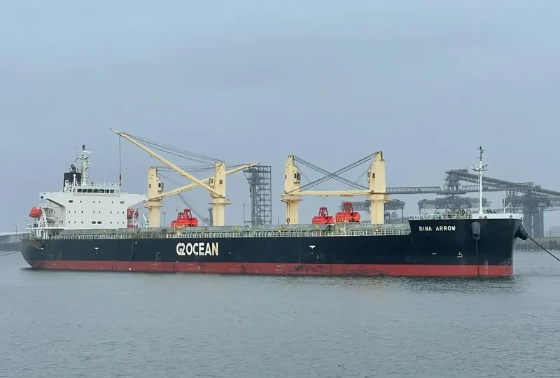 BIWA ARROW Bulk Carrier IMO 9687095 photo 6