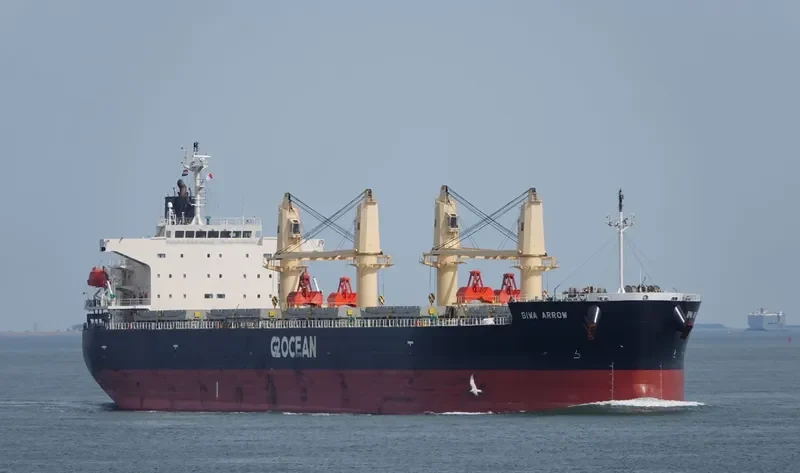 BIWA ARROW Bulk Carrier IMO 9687095 photo 7