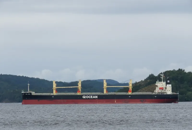 BIWA ARROW Bulk Carrier IMO 9687095 photo 8