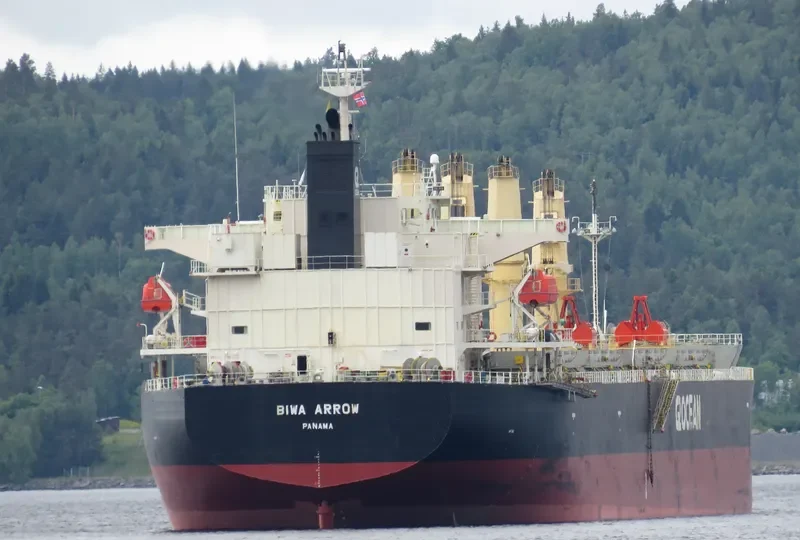 BIWA ARROW Bulk Carrier IMO 9687095 photo 9