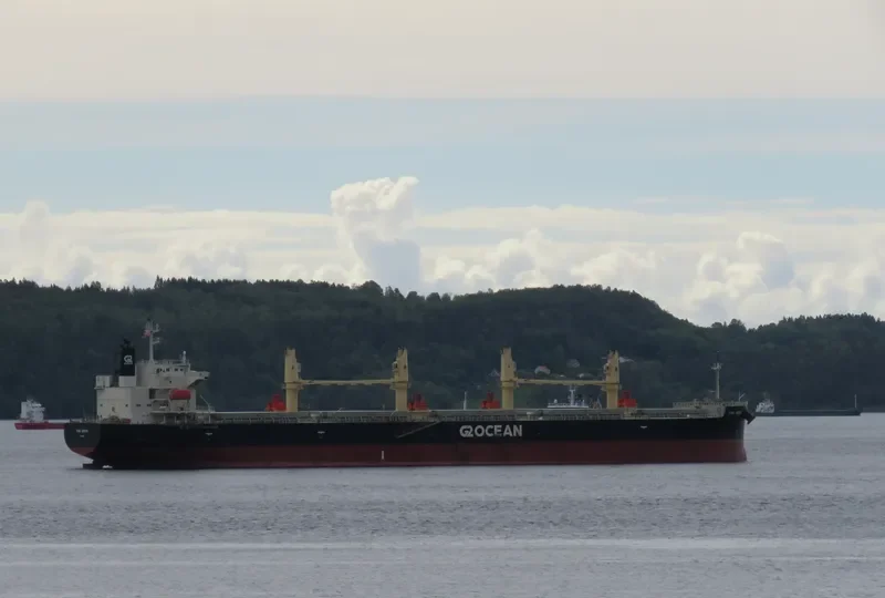 BIWA ARROW Bulk Carrier IMO 9687095 photo 10