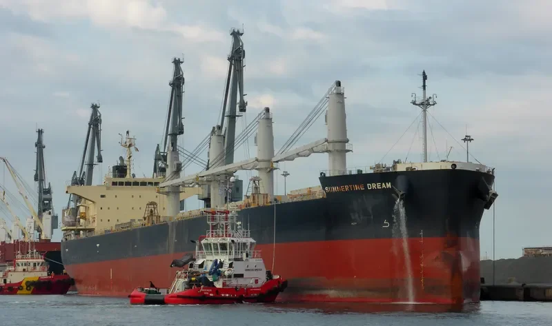 SUMMERTIME DREAM Bulk Carrier IMO 9687100 photo 3