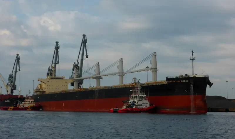 SUMMERTIME DREAM Bulk Carrier IMO 9687100 photo 4