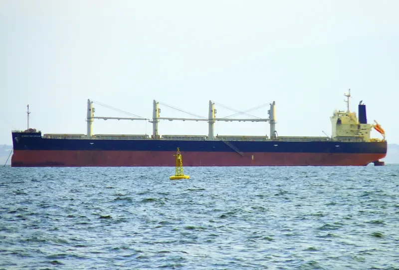 SUMMERTIME DREAM Bulk Carrier IMO 9687100 photo 5