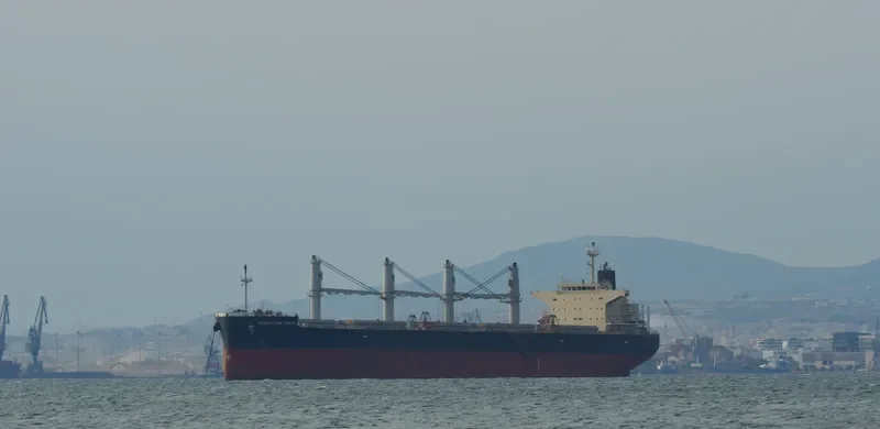 SUMMERTIME DREAM Bulk Carrier IMO 9687100 photo 6