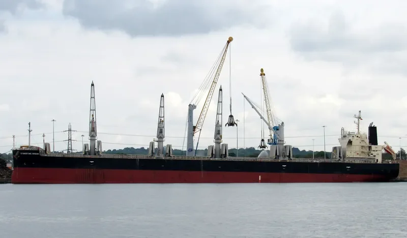 SUMMERTIME DREAM Bulk Carrier IMO 9687100 photo 7