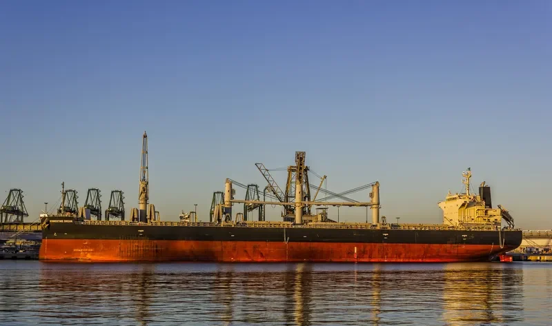 SUMMERTIME DREAM Bulk Carrier IMO 9687100 photo 8