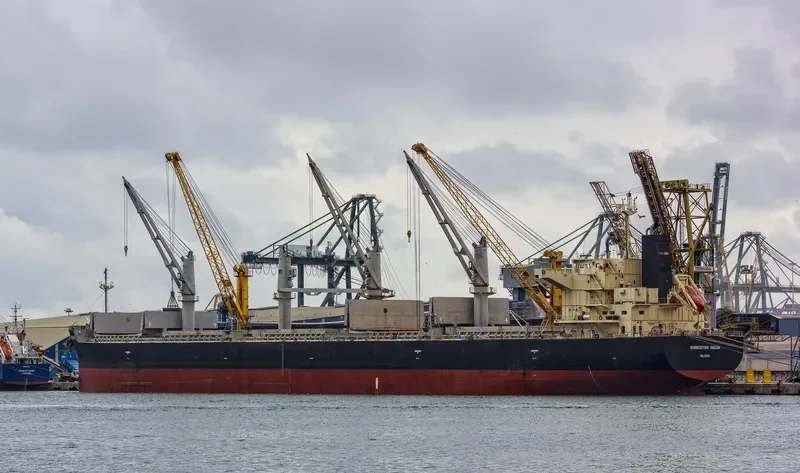 SUMMERTIME DREAM Bulk Carrier IMO 9687100 photo 9