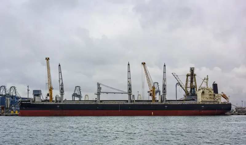 SUMMERTIME DREAM Bulk Carrier IMO 9687100 photo 10