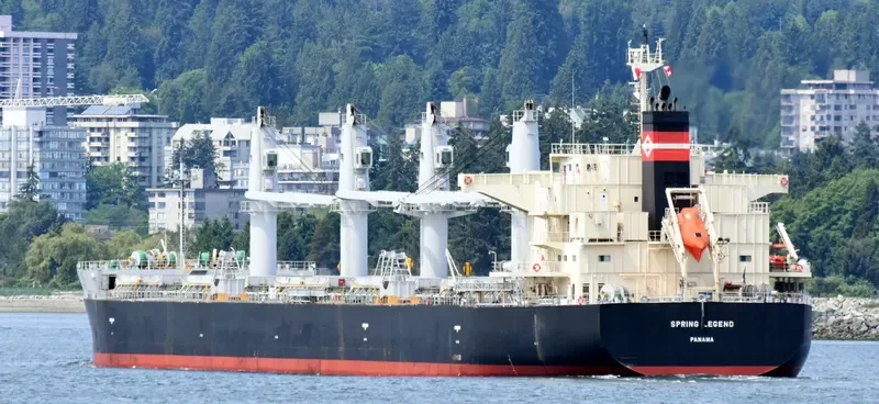SPRING LEGEND Bulk Carrier IMO 9687112 photo 2