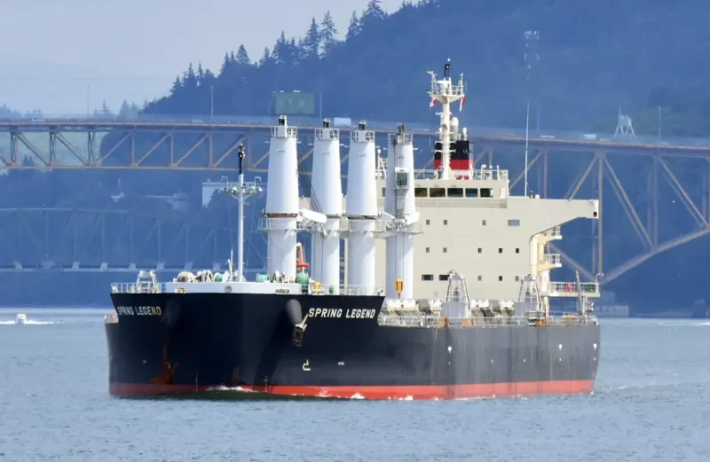 SPRING LEGEND Bulk Carrier IMO 9687112 photo 3