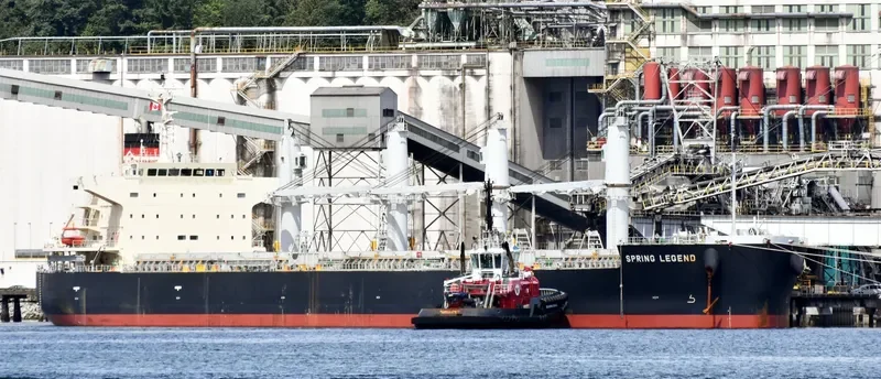 SPRING LEGEND Bulk Carrier IMO 9687112 photo 4