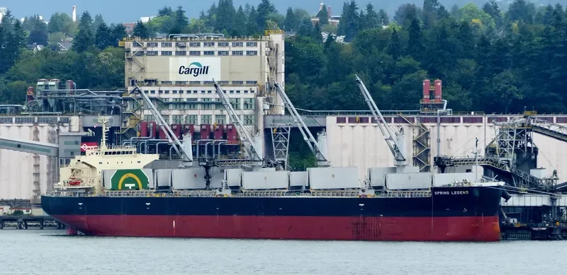 SPRING LEGEND Bulk Carrier IMO 9687112 photo 5
