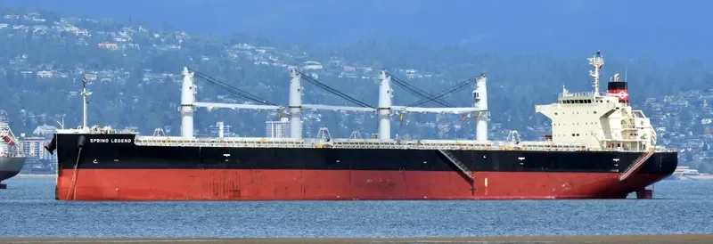 SPRING LEGEND Bulk Carrier IMO 9687112 photo 6