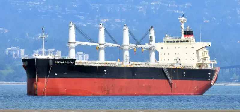 SPRING LEGEND Bulk Carrier IMO 9687112 photo 7