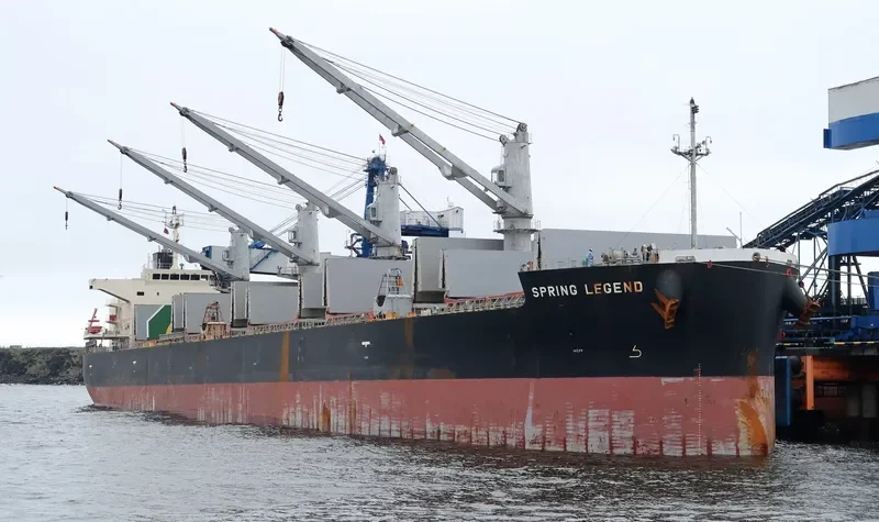 SPRING LEGEND Bulk Carrier IMO 9687112 photo 8