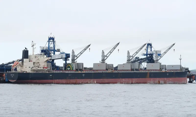 SPRING LEGEND Bulk Carrier IMO 9687112 photo 9