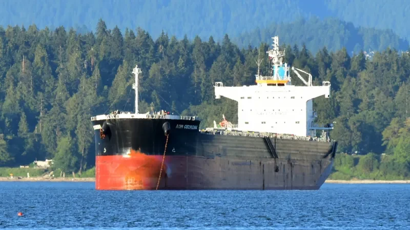 BELMONTE Bulk Carrier IMO 9687124