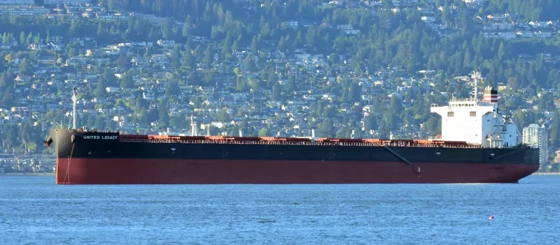BELMONTE Bulk Carrier IMO 9687124 photo 2