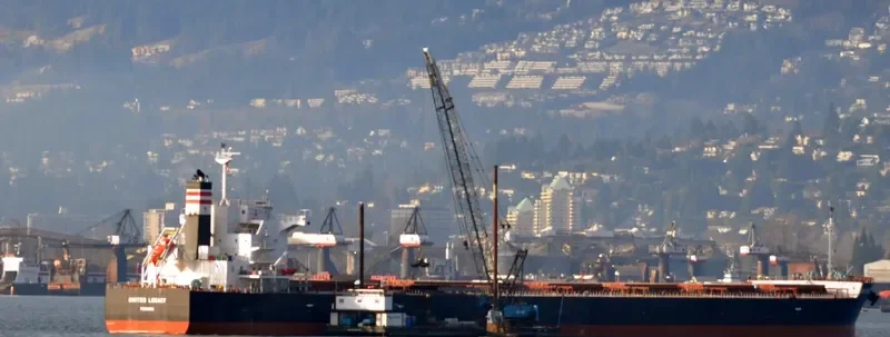 BELMONTE Bulk Carrier IMO 9687124 photo 3
