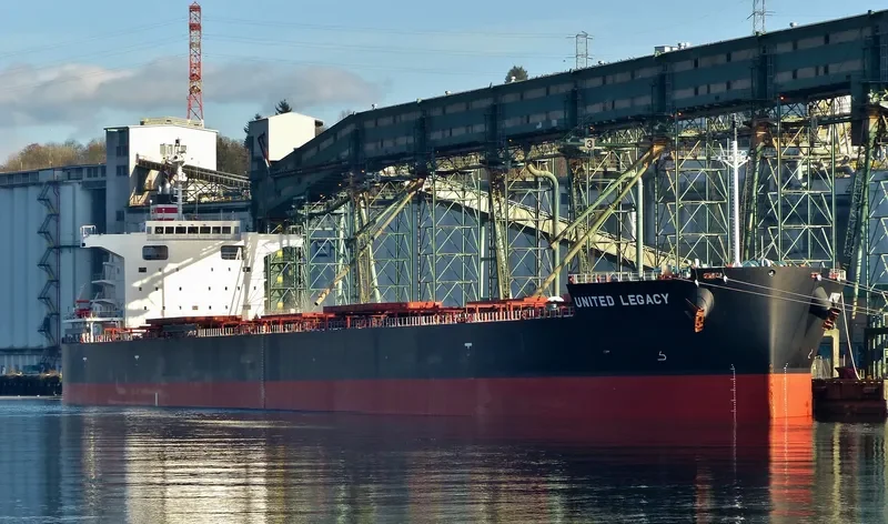 BELMONTE Bulk Carrier IMO 9687124 photo 5