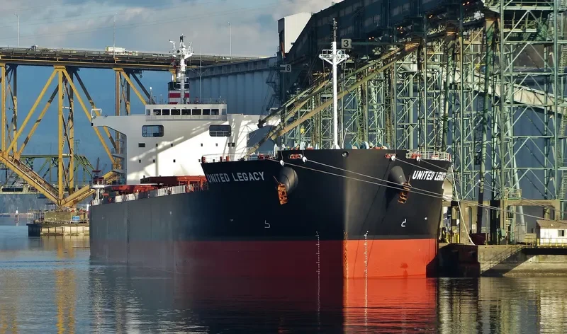 BELMONTE Bulk Carrier IMO 9687124 photo 6