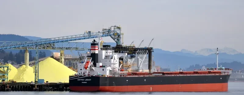 BELMONTE Bulk Carrier IMO 9687124 photo 7