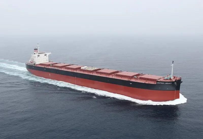 BELMONTE Bulk Carrier IMO 9687124 photo 10