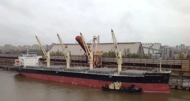 UNITY NORTH Bulk Carrier IMO 9687136