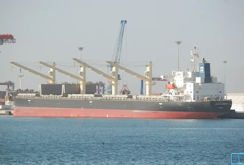 UNITY NORTH Bulk Carrier IMO 9687136 photo 57