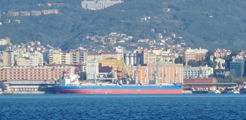UNISON MEDAL Bulk Carrier IMO 9687150 photo 8