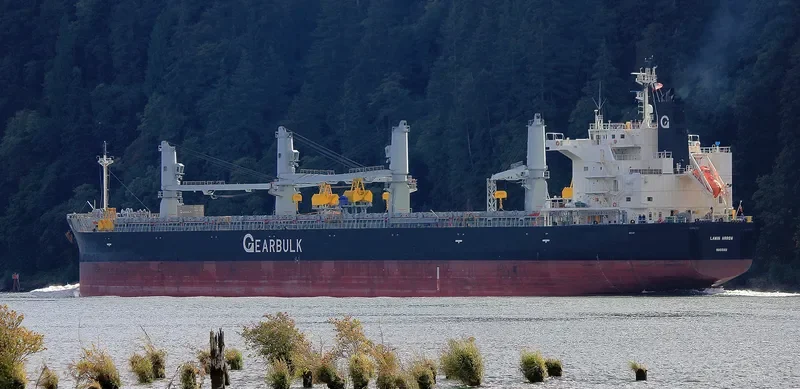 LAWIN ARROW Bulk Carrier IMO 9687162 photo 2