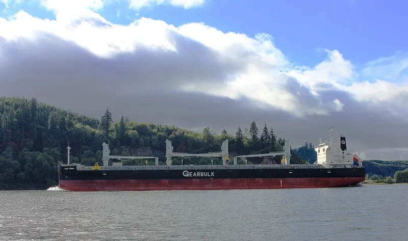 LAWIN ARROW Bulk Carrier IMO 9687162 photo 3