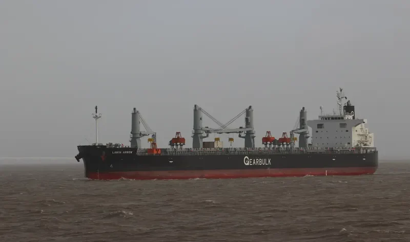 LAWIN ARROW Bulk Carrier IMO 9687162 photo 7