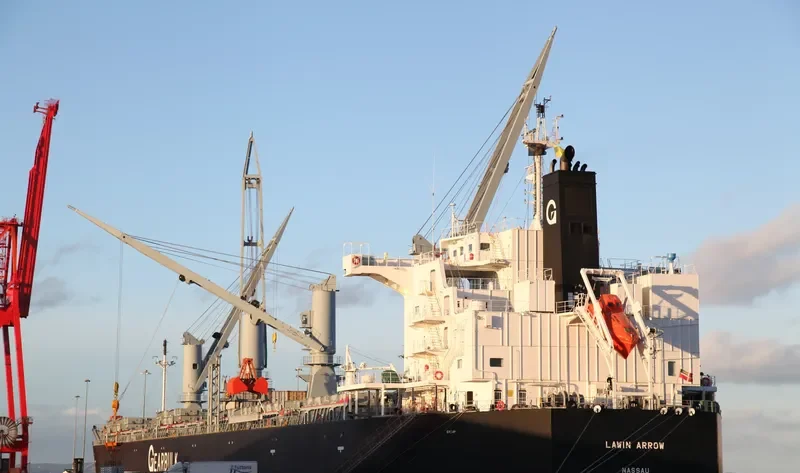 LAWIN ARROW Bulk Carrier IMO 9687162 photo 10