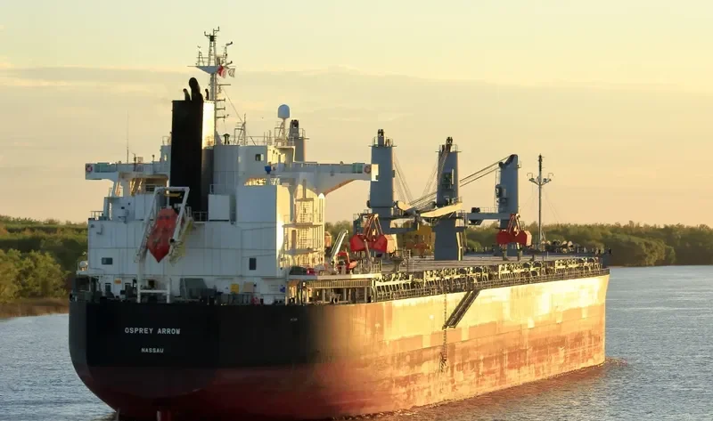 OSPREY ARROW Bulk Carrier IMO 9687174