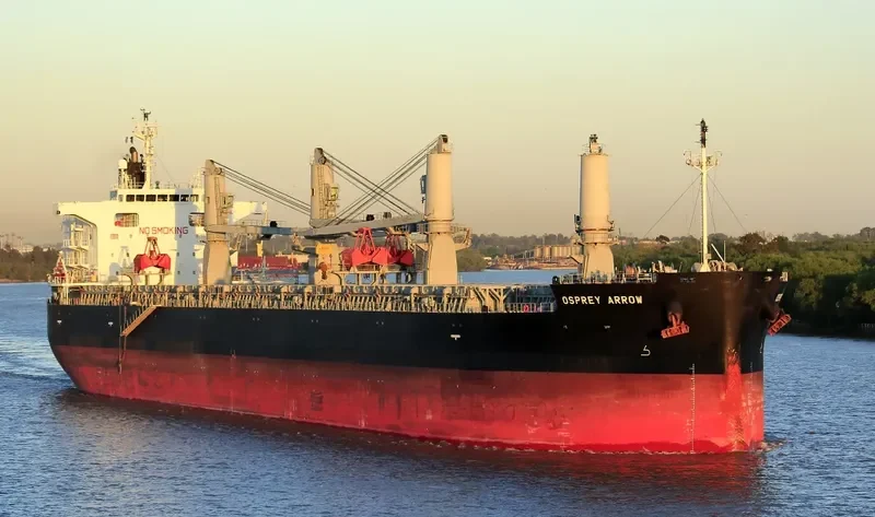 OSPREY ARROW Bulk Carrier IMO 9687174 photo 2