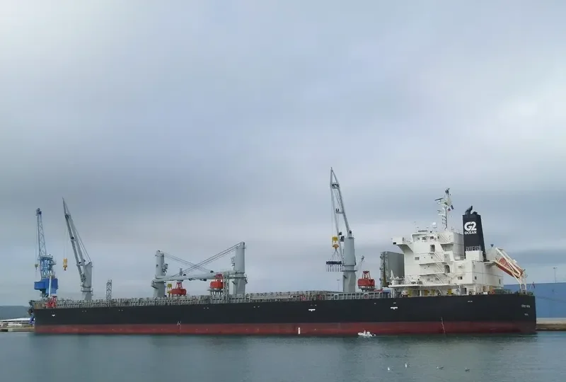 OSPREY ARROW Bulk Carrier IMO 9687174 photo 3